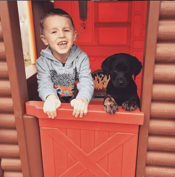 screen shot 2019-01-25 at 10.22.46 am