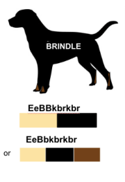 screen shot 2019-01-30 at 11.49.14 am